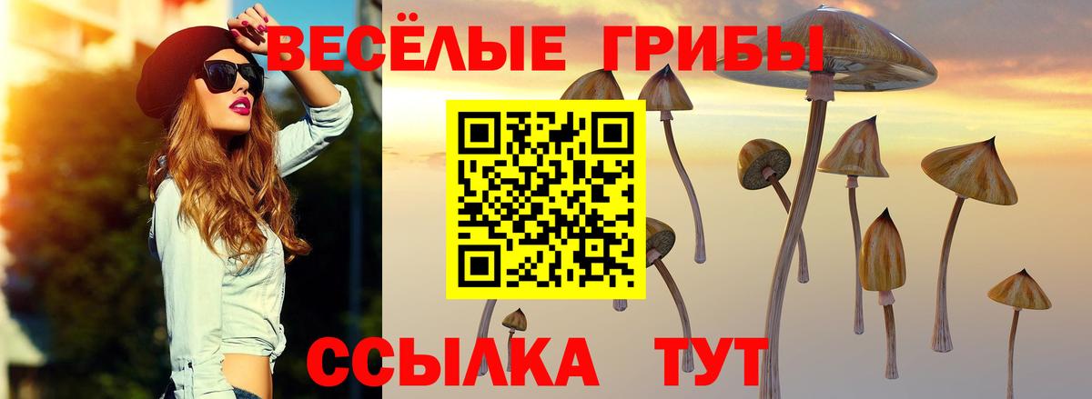 цена наркотик  Вход с VPN  Галлюциногенные грибы MAGIC MUSHROOMS  Бузулук  Галлюциногенные грибы прущие грибы 